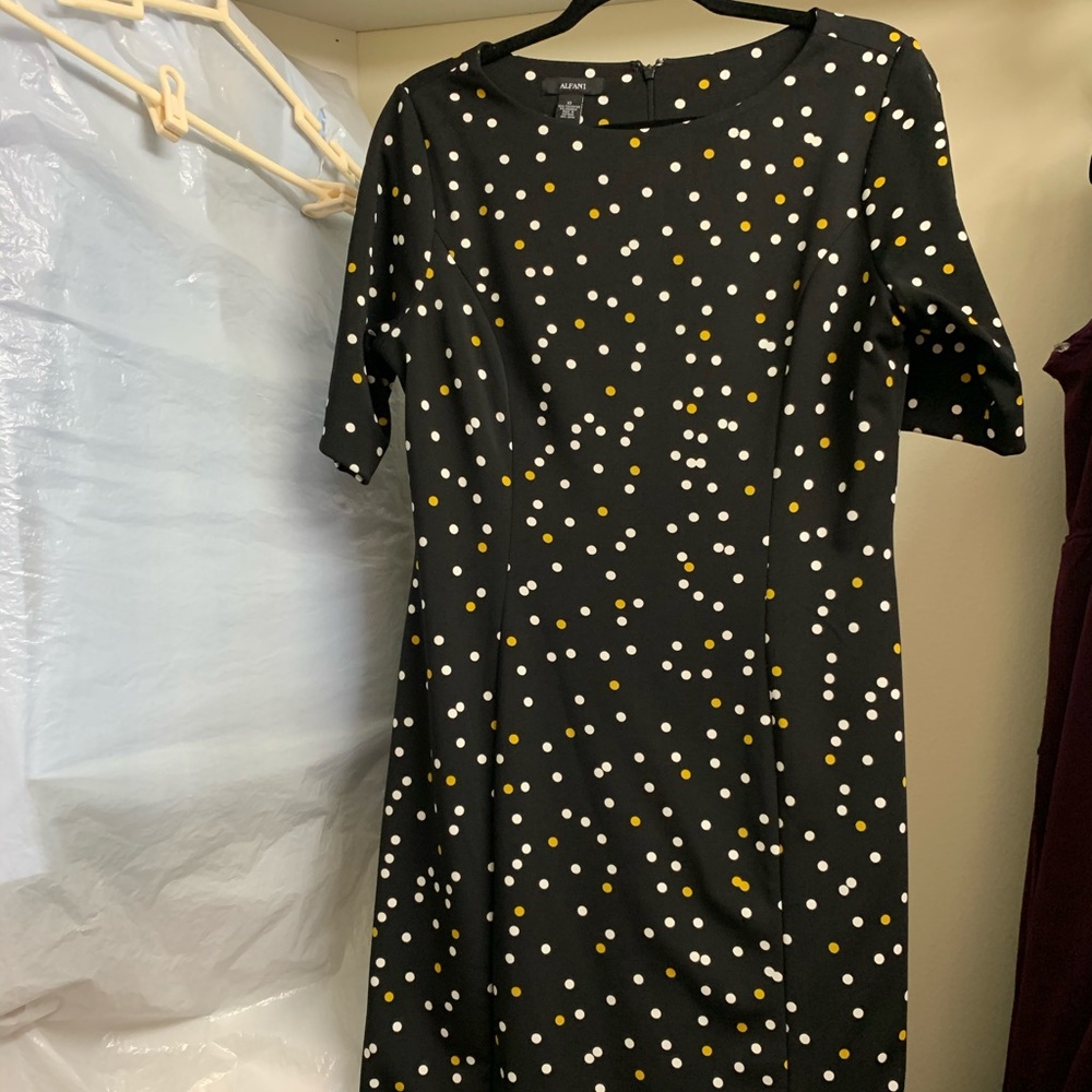 Black short sleeve knee length professional dress